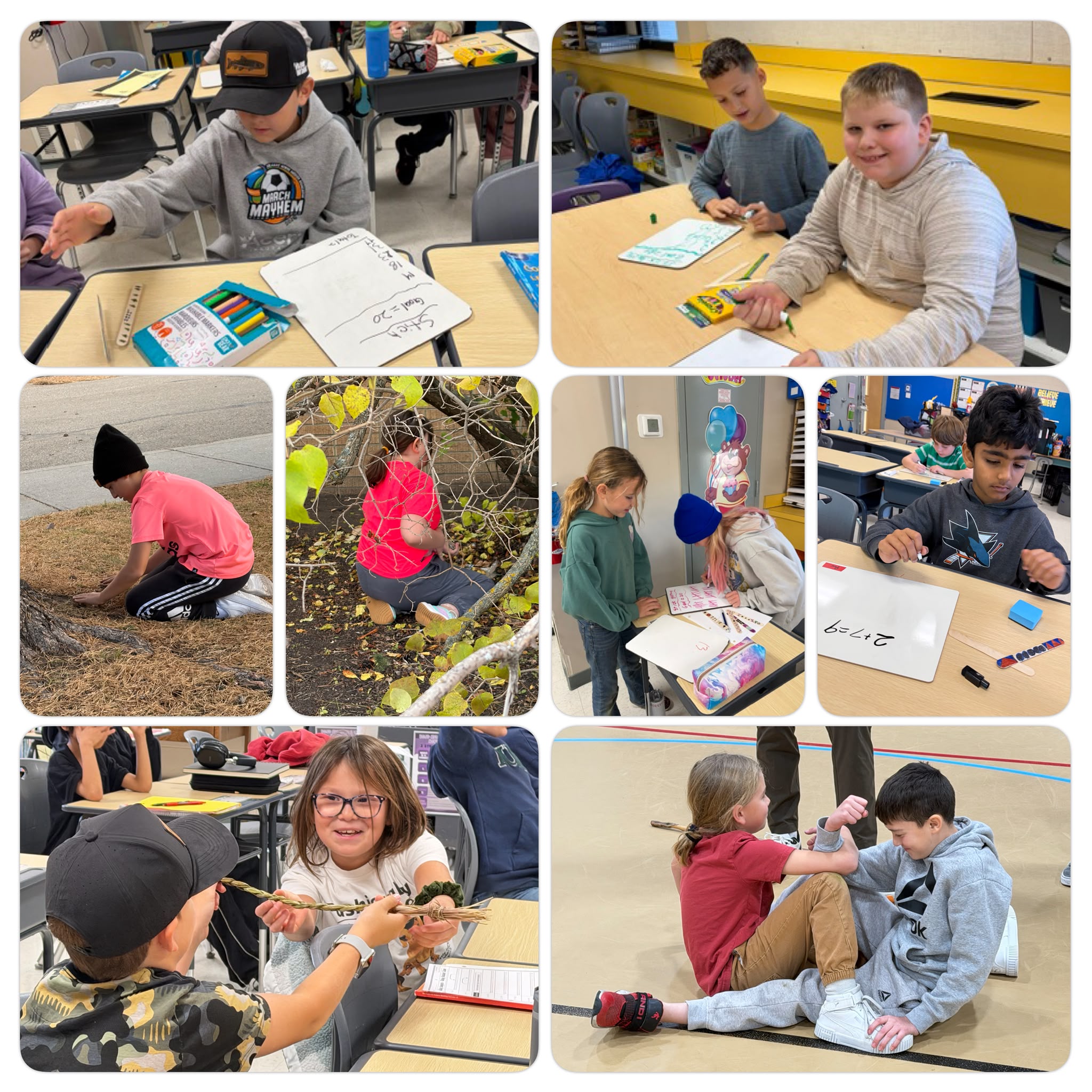 LPS Fall Learning Collage Fall 26.1