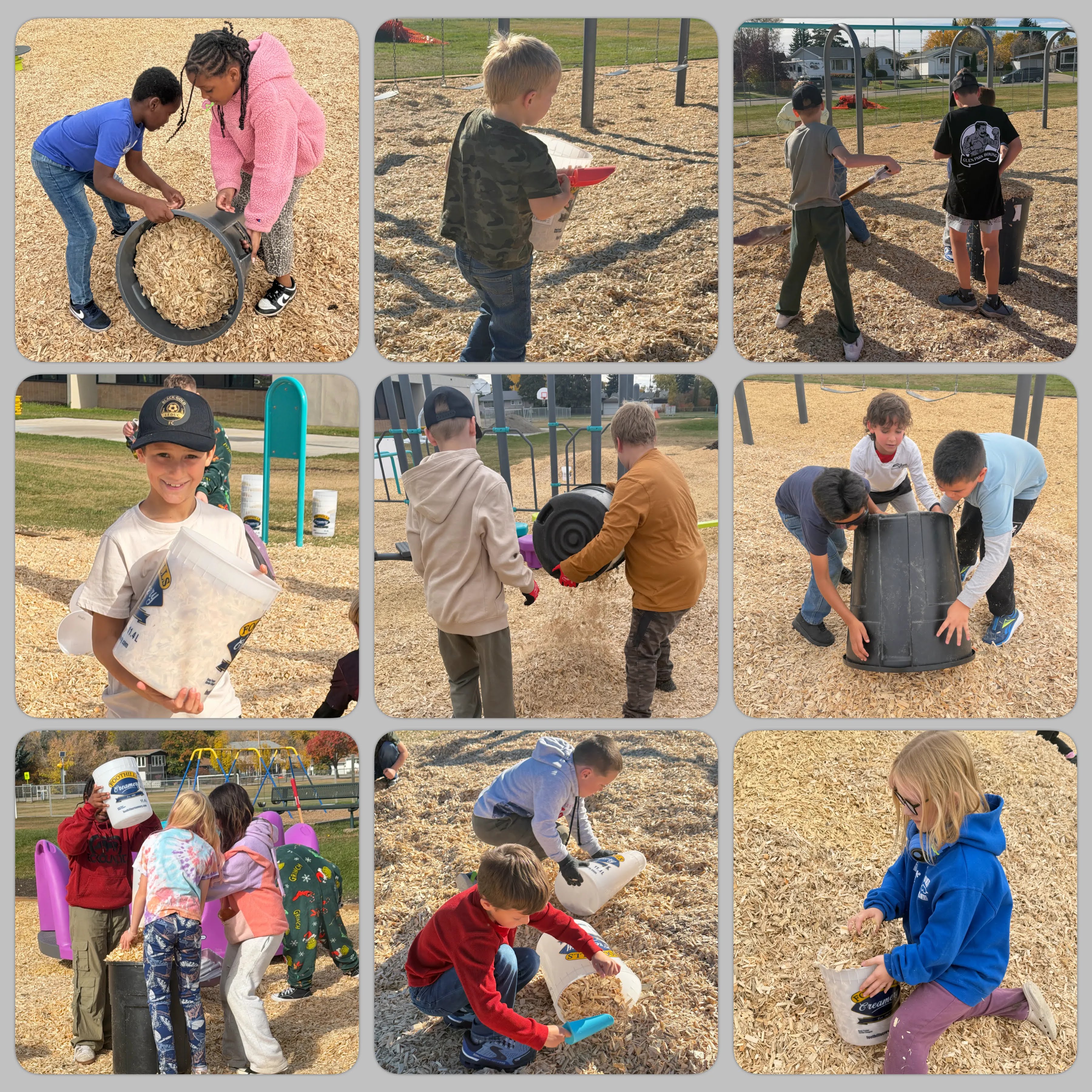 Woodchips collage oct 26
