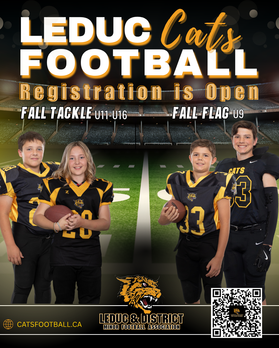 Cats football fall 2026