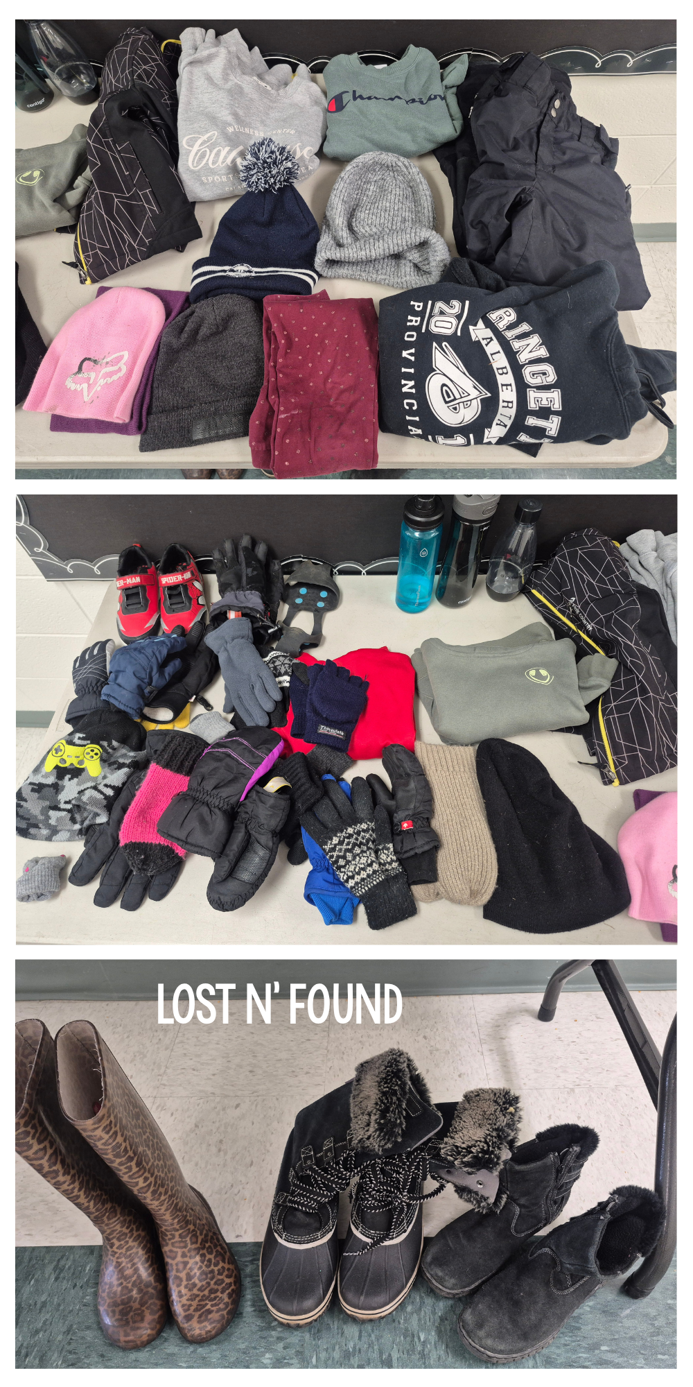 Lost n found