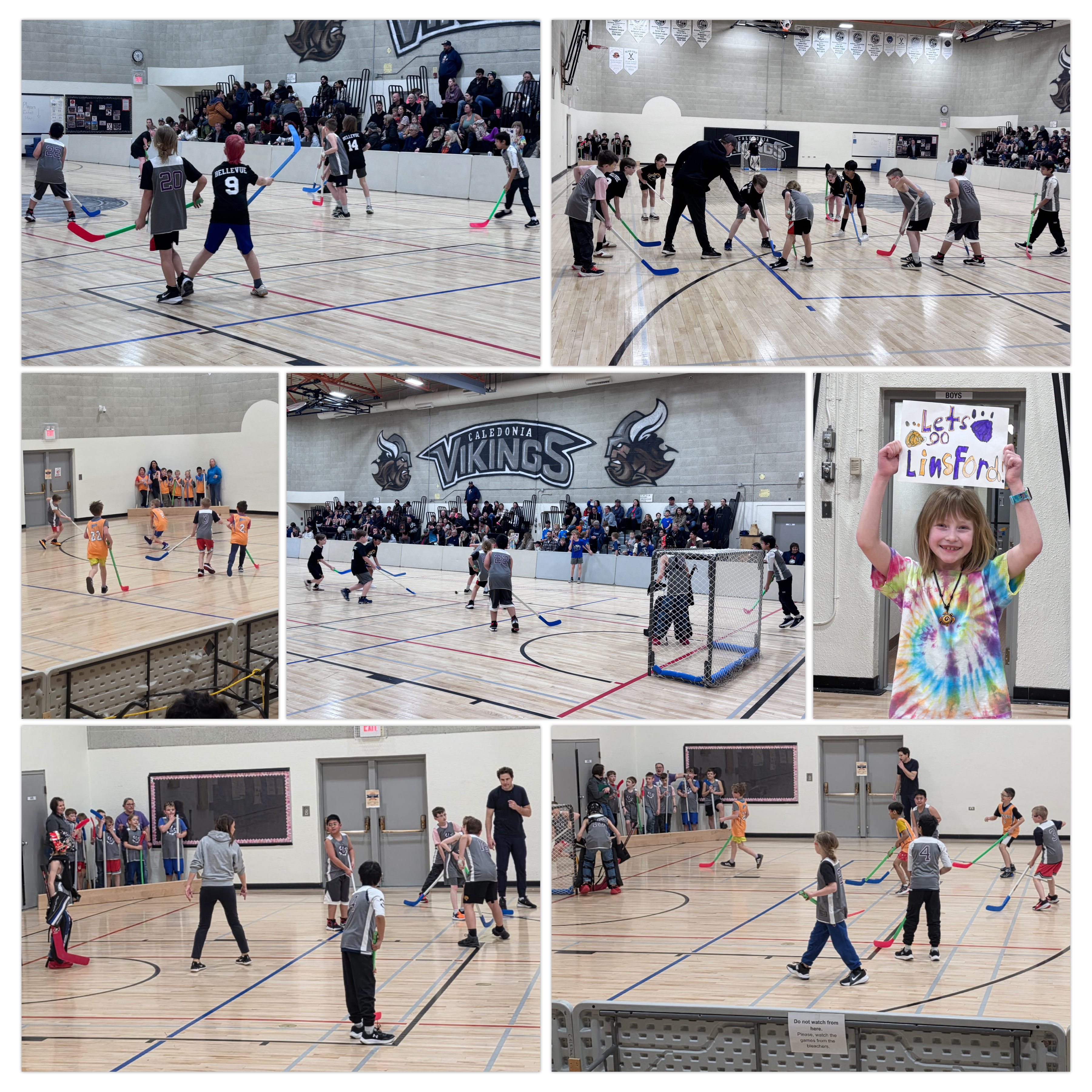 3.4 Boys Floor Hockey Collage