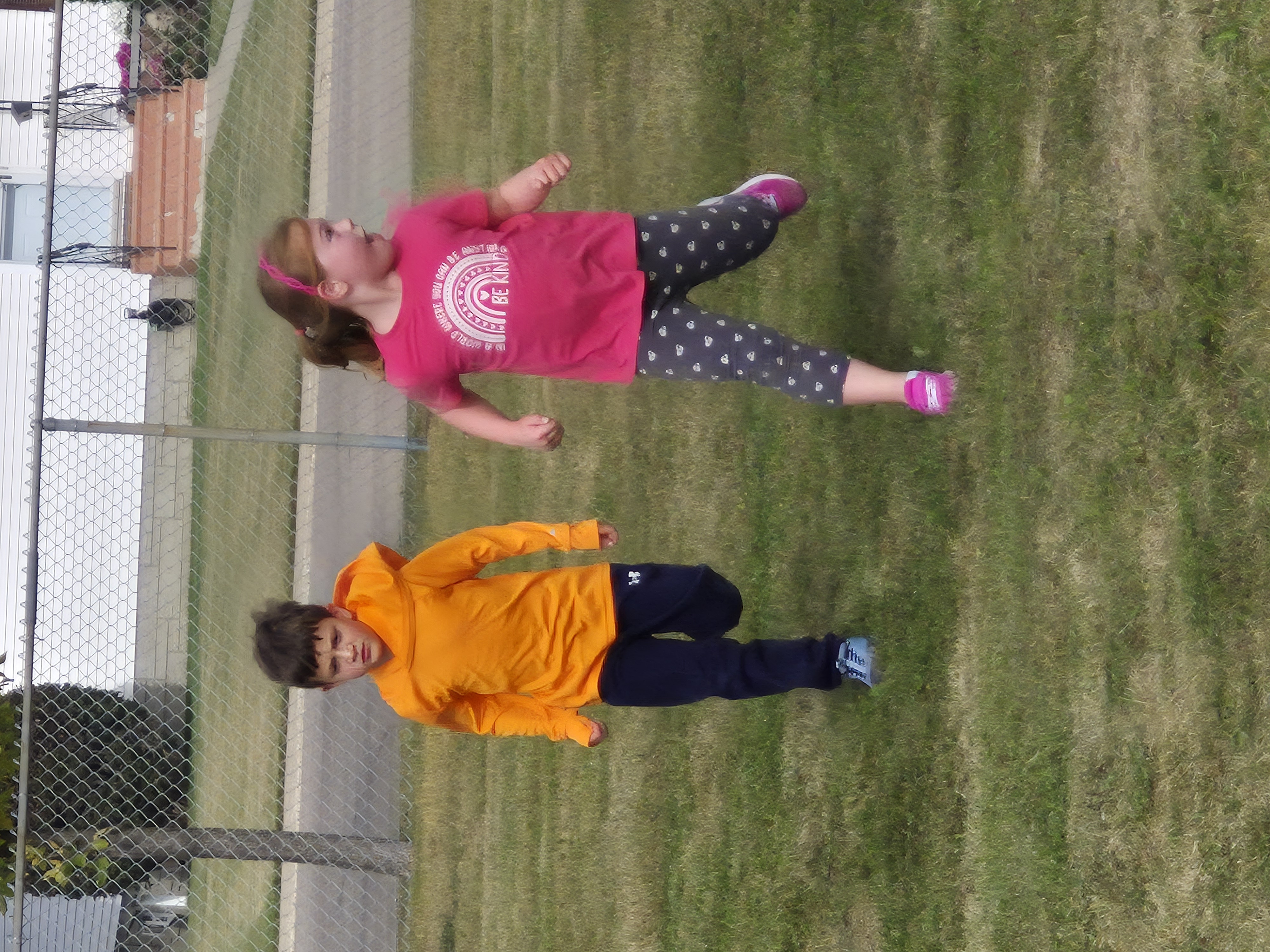 Terry Fox 26.3